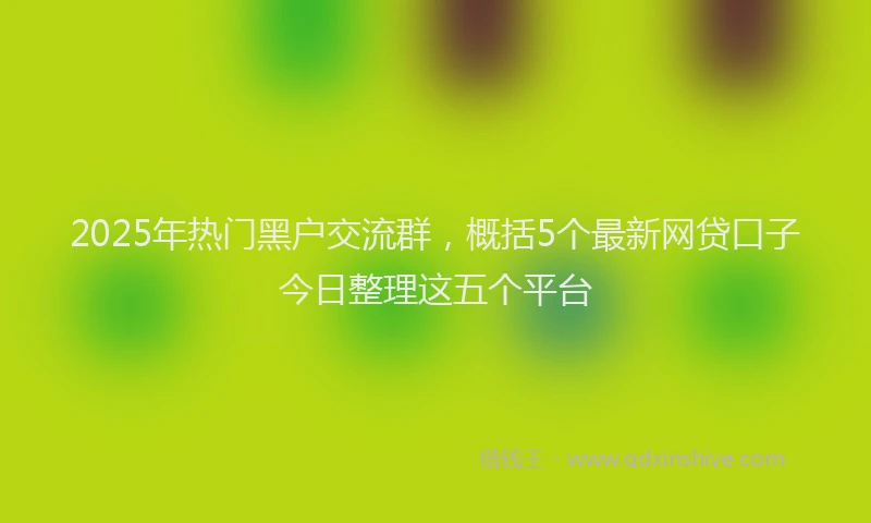 2025年热门黑户交流群，概括5个最新网贷口子今日整理这五个平台