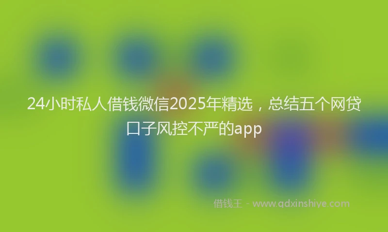 24小时私人借钱微信2025年精选，总结五个网贷口子风控不严的app