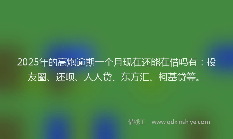 2025年的高炮逾期一个月现在还能在借吗有：投友圈、还呗、人人贷、东方汇、柯基贷等。