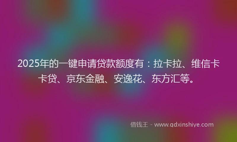 2025年的一键申请贷款额度有：拉卡拉、维信卡卡贷、京东金融、安逸花、东方汇等。