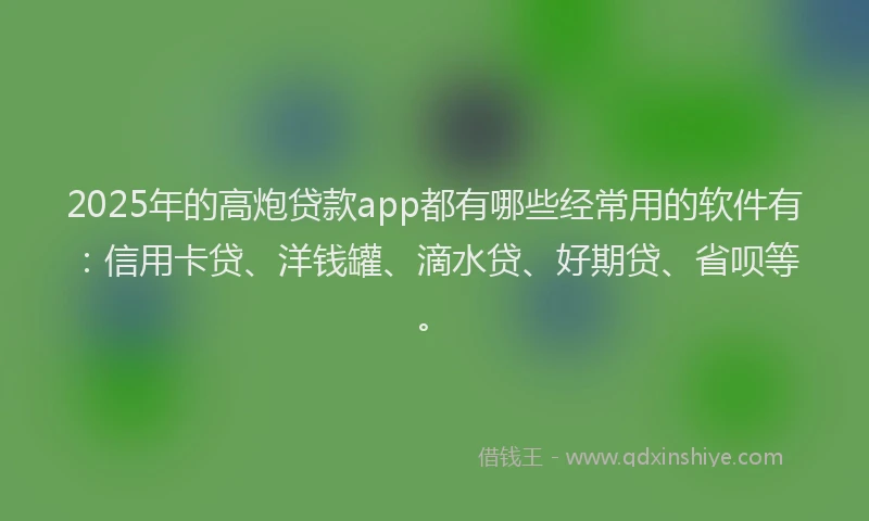 2025年的高炮贷款app都有哪些经常用的软件有：信用卡贷、洋钱罐、滴水贷、好期贷、省呗等。