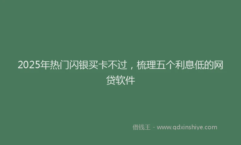 2025年热门闪银买卡不过，梳理五个利息低的网贷软件