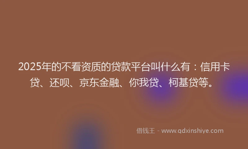 2025年的不看资质的贷款平台叫什么有：信用卡贷、还呗、京东金融、你我贷、柯基贷等。