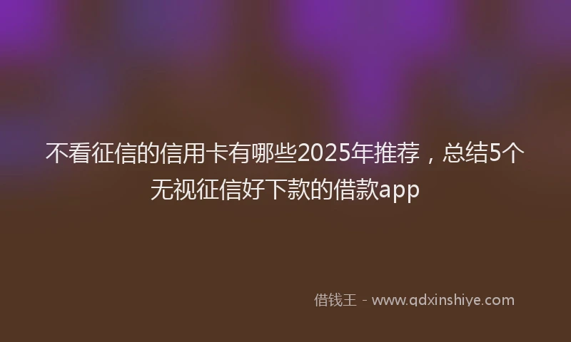 不看征信的信用卡有哪些2025年推荐，总结5个无视征信好下款的借款app