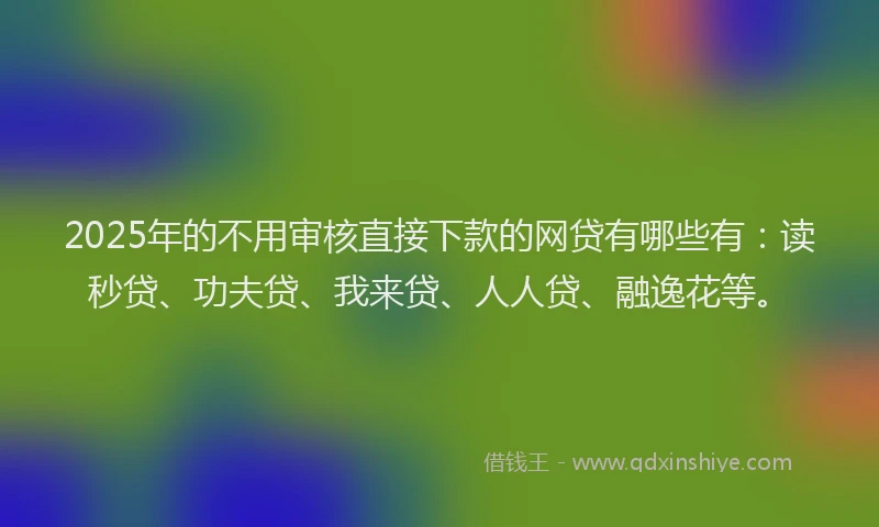 2025年的不用审核直接下款的网贷有哪些有：读秒贷、功夫贷、我来贷、人人贷、融逸花等。