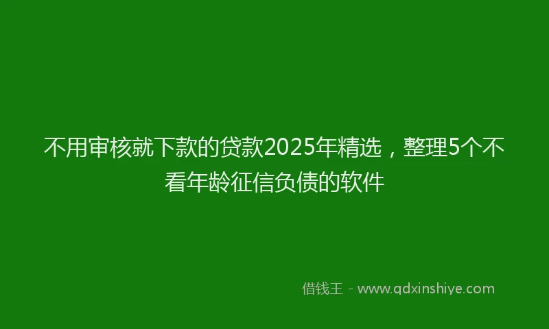 不用审核就下款的贷款2025年精选，整理5个不看年龄征信负债的软件