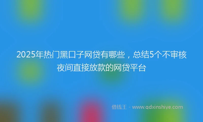 2025年热门黑口子网贷有哪些，总结5个不审核夜间直接放款的网贷平台