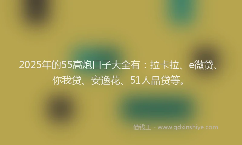 2025年的55高炮口子大全有：拉卡拉、e微贷、你我贷、安逸花、51人品贷等。