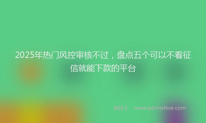 2025年热门风控审核不过，盘点五个可以不看征信就能下款的平台