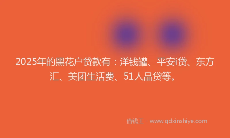 2025年的黑花户贷款有：洋钱罐、平安i贷、东方汇、美团生活费、51人品贷等。