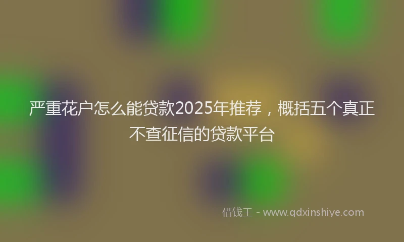 严重花户怎么能贷款2025年推荐，概括五个真正不查征信的贷款平台