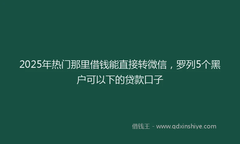 2025年热门那里借钱能直接转微信，罗列5个黑户可以下的贷款口子