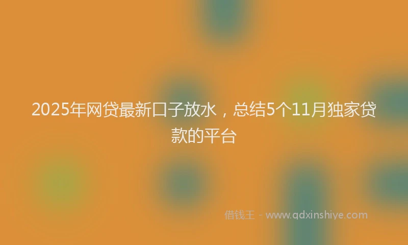 2025年网贷最新口子放水，总结5个11月独家贷款的平台
