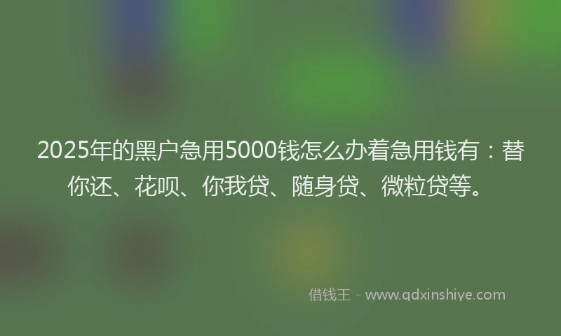 2025年的黑户急用5000钱怎么办着急用钱有：替你还、花呗、你我贷、随身贷、微粒贷等。