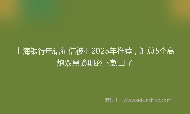 上海银行电话征信被拒2025年推荐，汇总5个高炮双黑逾期必下款口子