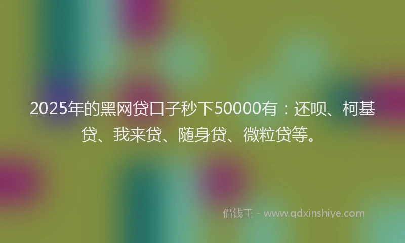 2025年的黑网贷口子秒下50000有：还呗、柯基贷、我来贷、随身贷、微粒贷等。