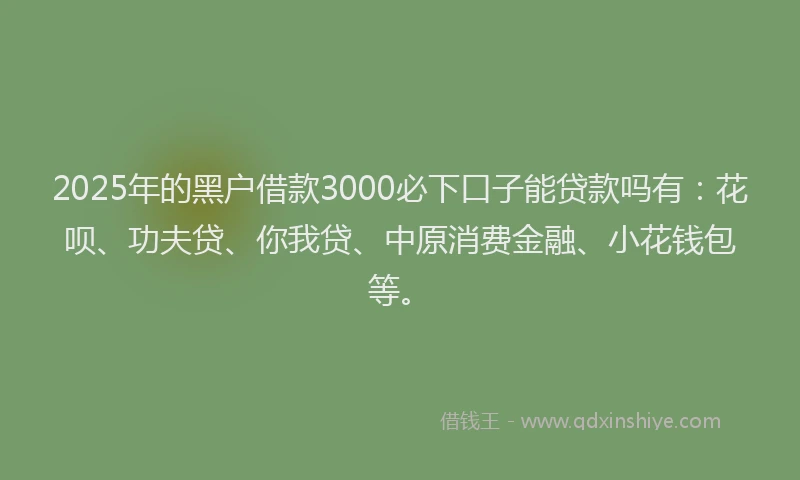 2025年的黑户借款3000必下口子能贷款吗有：花呗、功夫贷、你我贷、中原消费金融、小花钱包等。