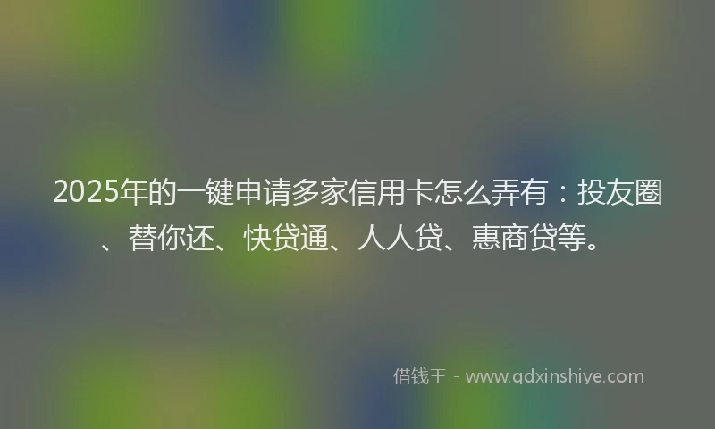 2025年的一键申请多家信用卡怎么弄有：投友圈、替你还、快贷通、人人贷、惠商贷等。