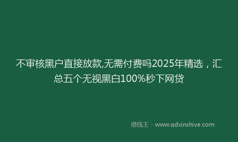 不审核黑户直接放款,无需付费吗2025年精选，汇总五个无视黑白100%秒下网贷