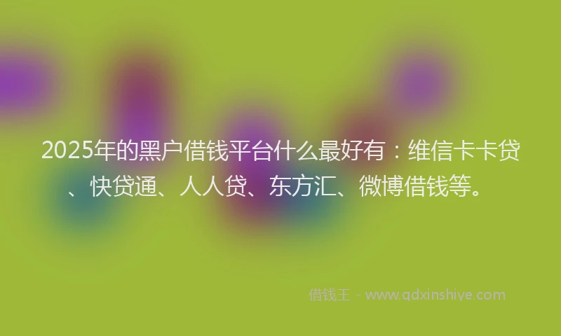 2025年的黑户借钱平台什么最好有：维信卡卡贷、快贷通、人人贷、东方汇、微博借钱等。