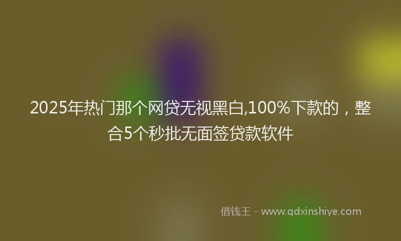 2025年热门那个网贷无视黑白,100%下款的，整合5个秒批无面签贷款软件