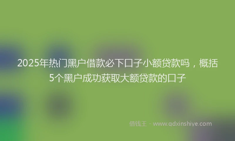 2025年热门黑户借款必下口子小额贷款吗，概括5个黑户成功获取大额贷款的口子