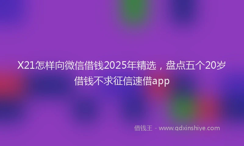 X21怎样向微信借钱2025年精选，盘点五个20岁借钱不求征信速借app