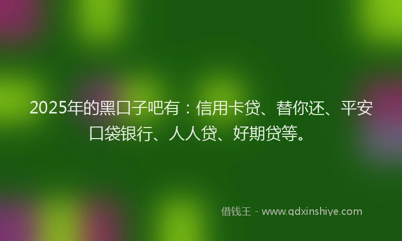 2025年的黑口子吧有：信用卡贷、替你还、平安口袋银行、人人贷、好期贷等。