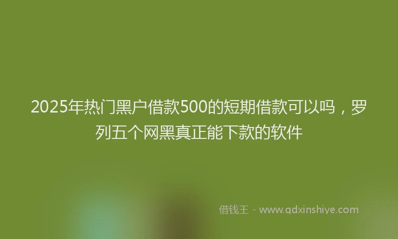 2025年热门黑户借款500的短期借款可以吗，罗列五个网黑真正能下款的软件