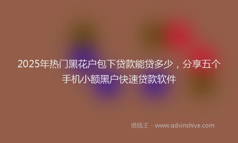2025年热门黑花户包下贷款能贷多少，分享五个手机小额黑户快速贷款软件