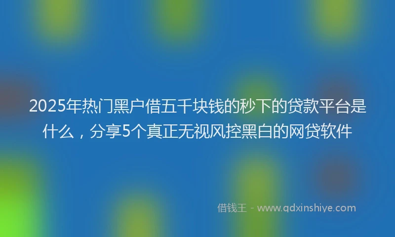 2025年热门黑户借五千块钱的秒下的贷款平台是什么，分享5个真正无视风控黑白的网贷软件