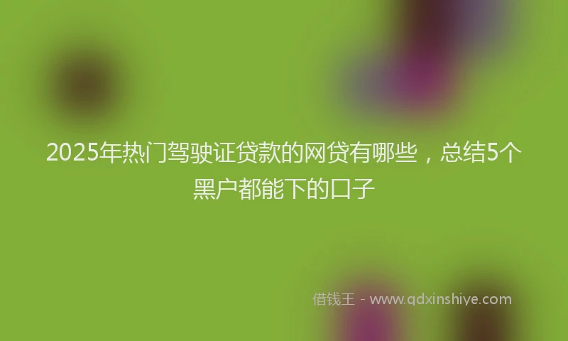 2025年热门驾驶证贷款的网贷有哪些，总结5个黑户都能下的口子