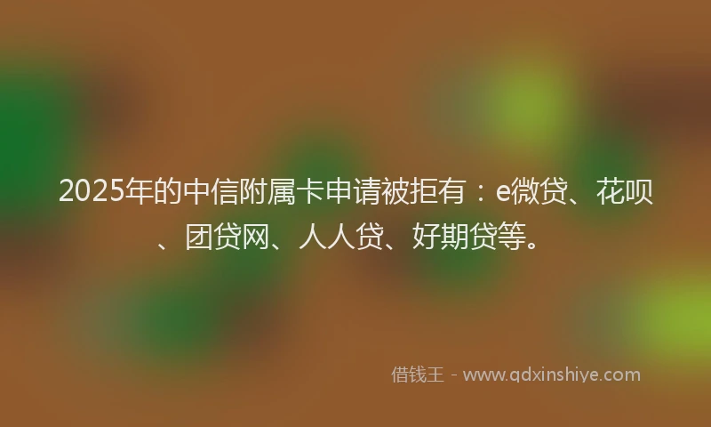 2025年的中信附属卡申请被拒有：e微贷、花呗、团贷网、人人贷、好期贷等。