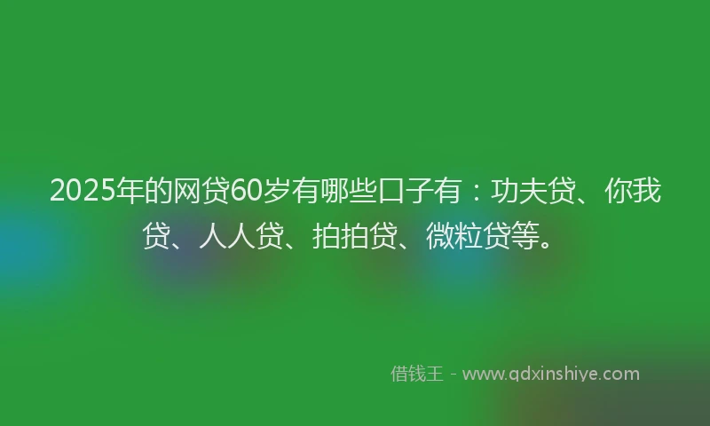 2025年的网贷60岁有哪些口子有：功夫贷、你我贷、人人贷、拍拍贷、微粒贷等。