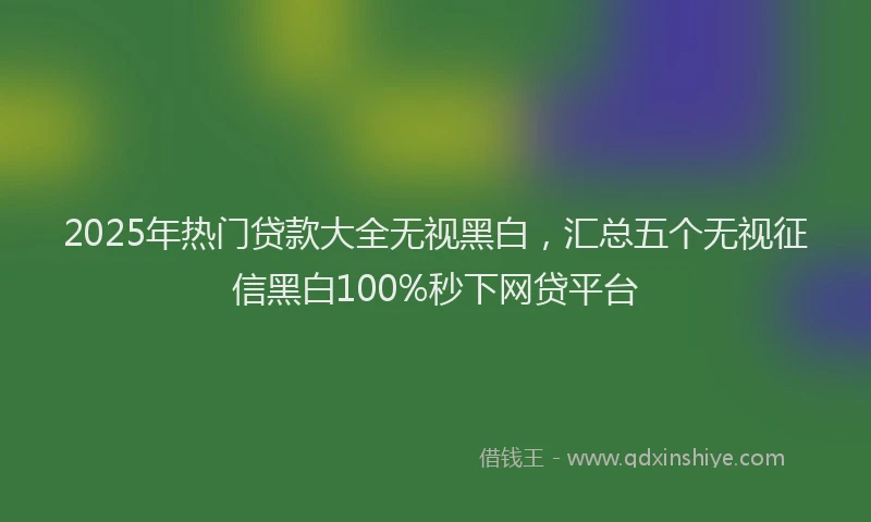 2025年热门贷款大全无视黑白，汇总五个无视征信黑白100%秒下网贷平台