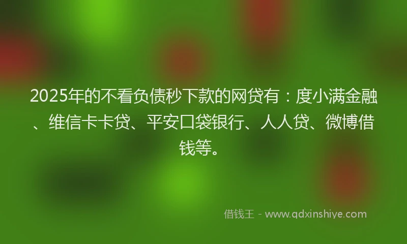 2025年的不看负债秒下款的网贷有：度小满金融、维信卡卡贷、平安口袋银行、人人贷、微博借钱等。