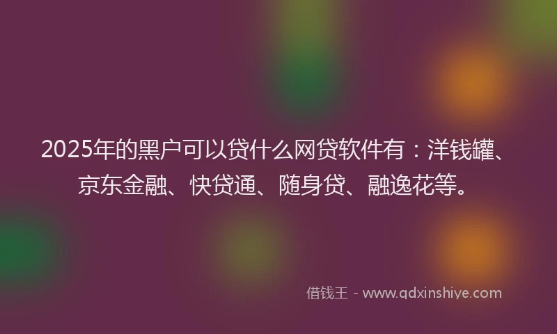 2025年的黑户可以贷什么网贷软件有：洋钱罐、京东金融、快贷通、随身贷、融逸花等。