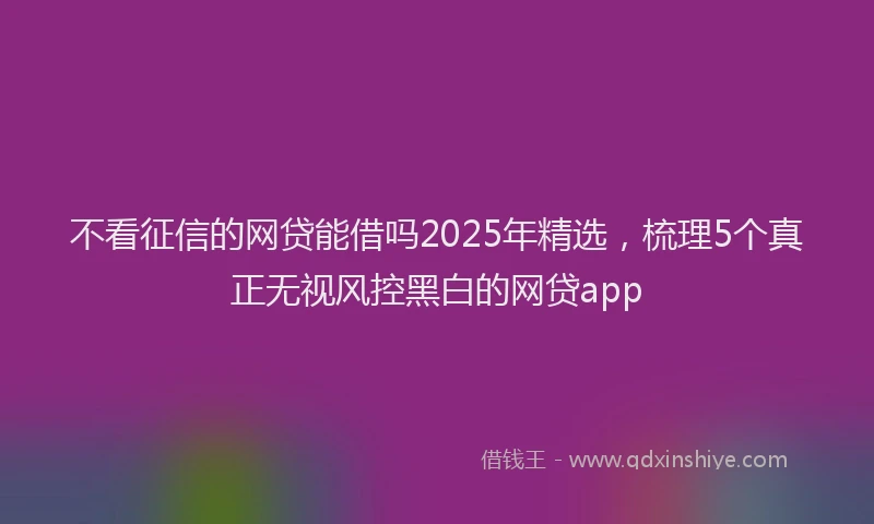 不看征信的网贷能借吗2025年精选，梳理5个真正无视风控黑白的网贷app
