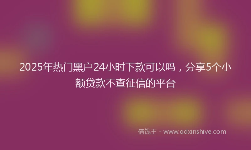 2025年热门黑户24小时下款可以吗，分享5个小额贷款不查征信的平台