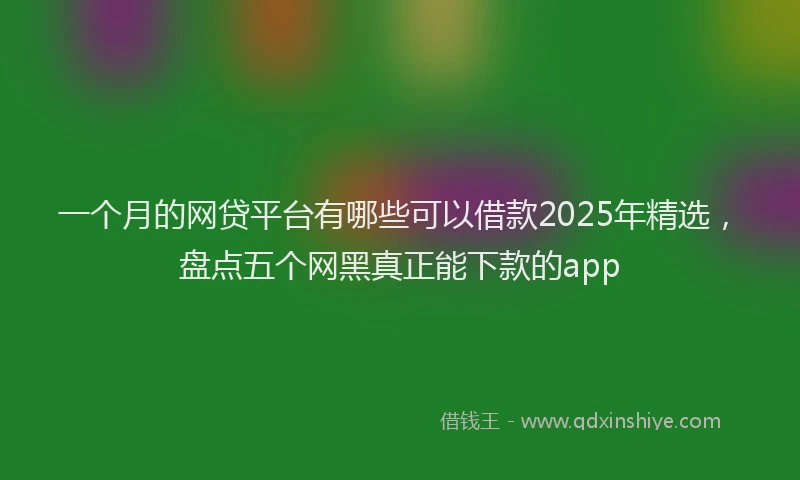 一个月的网贷平台有哪些可以借款2025年精选，盘点五个网黑真正能下款的app