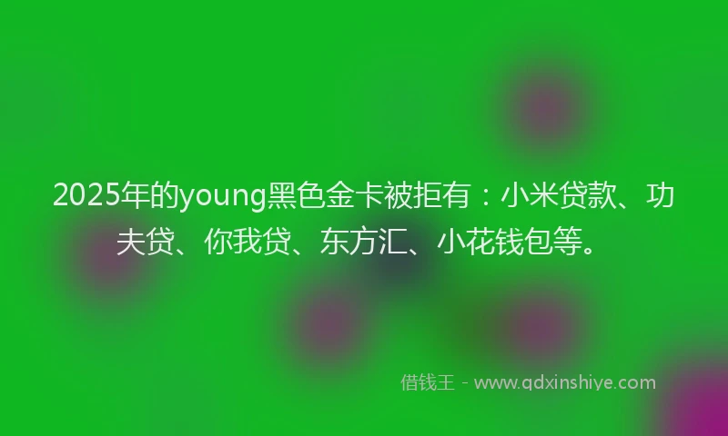 2025年的young黑色金卡被拒有：小米贷款、功夫贷、你我贷、东方汇、小花钱包等。