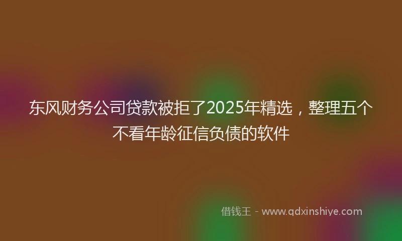 东风财务公司贷款被拒了2025年精选，整理五个不看年龄征信负债的软件