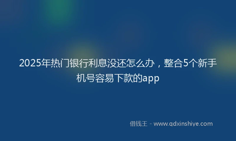 2025年热门银行利息没还怎么办，整合5个新手机号容易下款的app