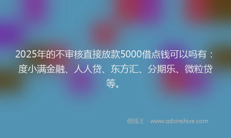 2025年的不审核直接放款5000借点钱可以吗有：度小满金融、人人贷、东方汇、分期乐、微粒贷等。