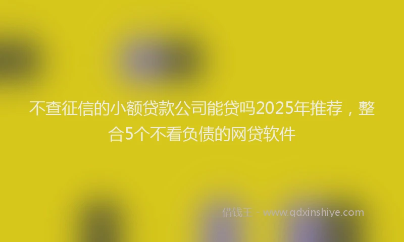 不查征信的小额贷款公司能贷吗2025年推荐，整合5个不看负债的网贷软件