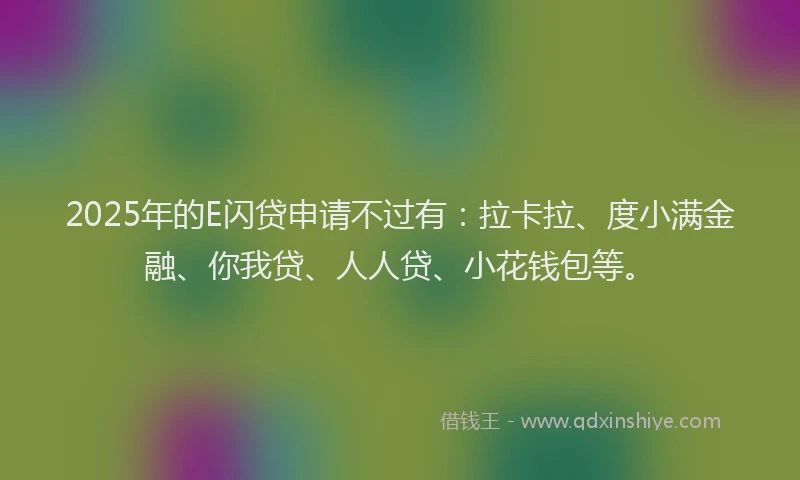 2025年的E闪贷申请不过有：拉卡拉、度小满金融、你我贷、人人贷、小花钱包等。