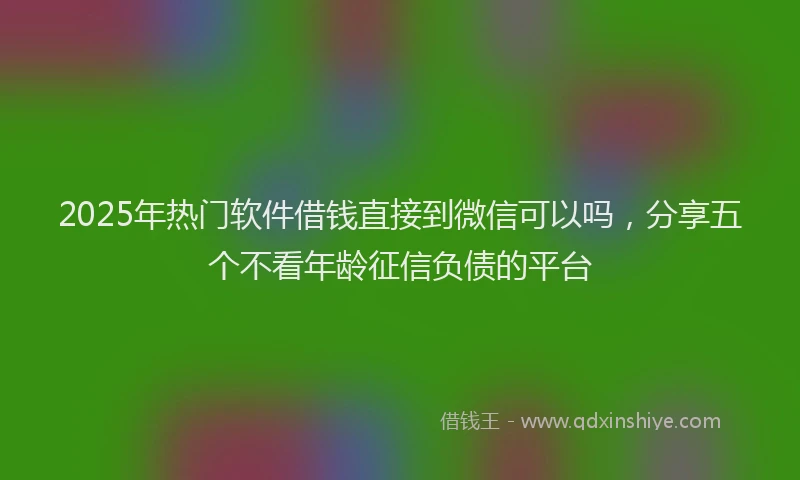 2025年热门软件借钱直接到微信可以吗，分享五个不看年龄征信负债的平台