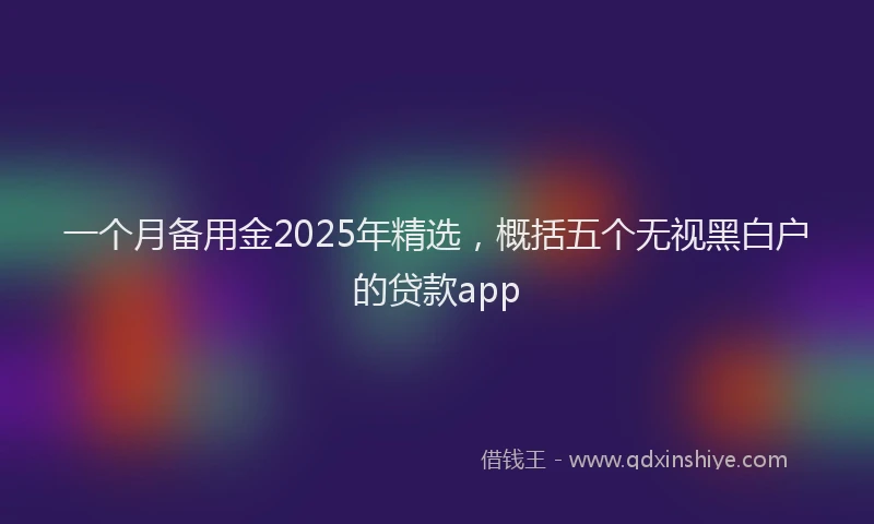 一个月备用金2025年精选，概括五个无视黑白户的贷款app