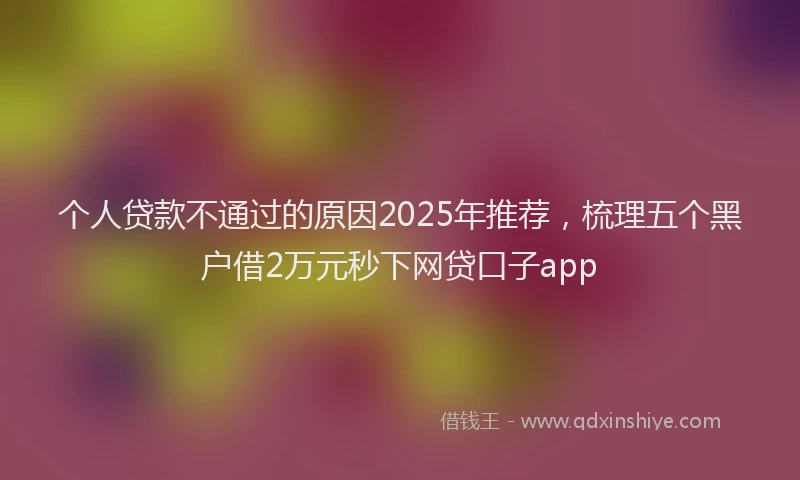 个人贷款不通过的原因2025年推荐，梳理五个黑户借2万元秒下网贷口子app