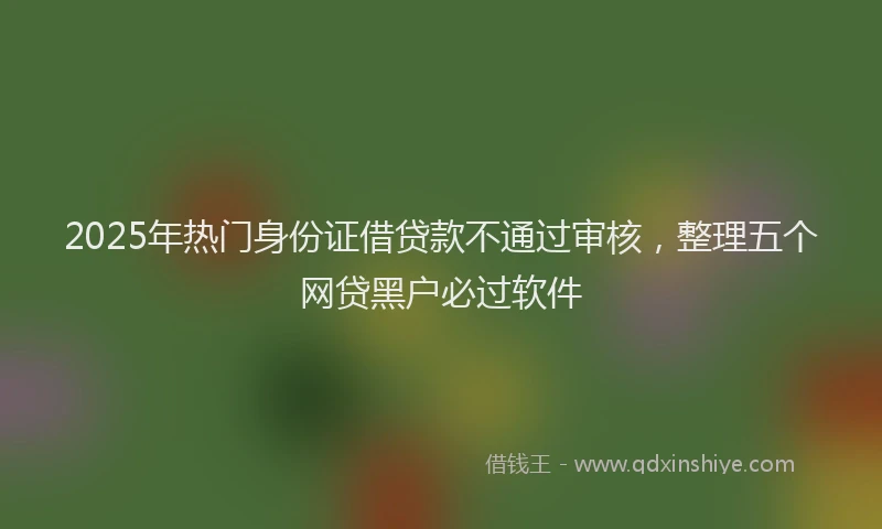 2025年热门身份证借贷款不通过审核，整理五个网贷黑户必过软件